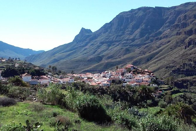 Full Day Across the Island Tour from Las Palmas - San Bartolomé de Tirajana Museum: Village Life in 25 Minutes