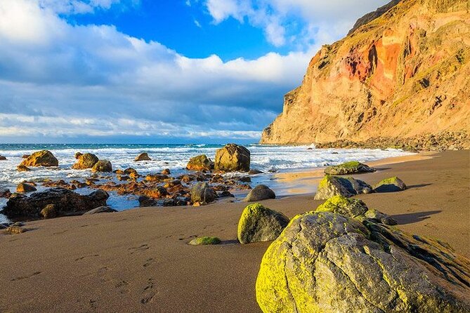 Full Day Guided Tour to La Gomera from Tenerife - Price and Value: What $132.75 Buys You on This Full-Day Format