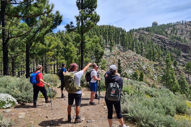 Full day Hiking Gran Canaria Peaks of Gran Canaria - Key Things You’ll Notice on This Hike
