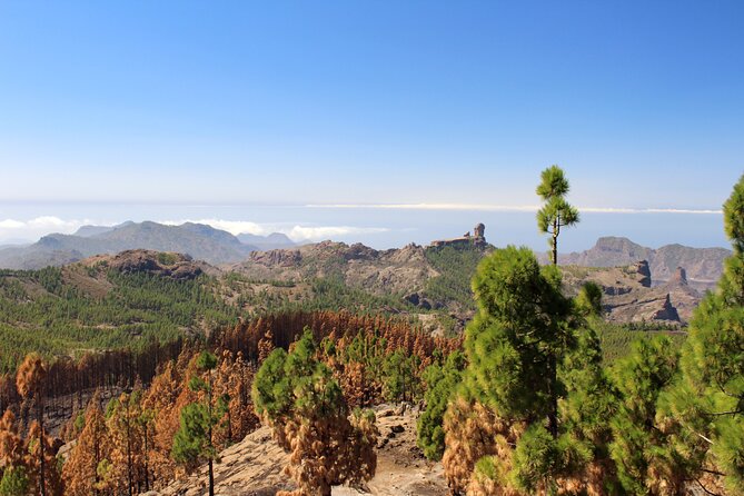 Full day Hiking Gran Canaria Peaks of Gran Canaria - The Trail Experience: Pines, Peaks, and Big-View Breaks