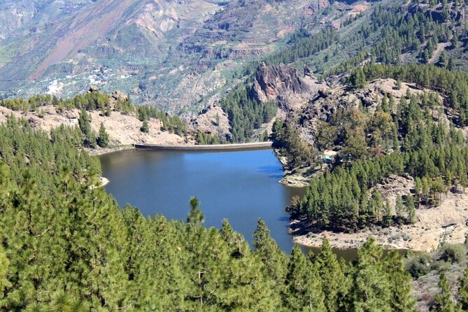 Full day Hiking Gran Canaria Peaks of Gran Canaria - Maspalomas Launch Day: What the Out-and-Back Feels Like