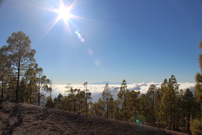 Full day Hiking Gran Canaria Peaks of Gran Canaria - Lunch at 3:30 pm: Included, but Plan Your Timing