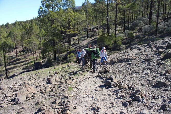 Full day Hiking Gran Canaria Peaks of Gran Canaria - What to Wear: Shoes Are Non-Negotiable