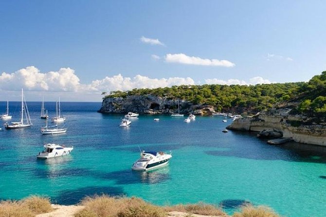 Full-Day Mallorca Caves Tour: Drach, Hams & Pearl Factory Visit - Bus Day Logistics: Why the Experience Feels Smooth or Stretched