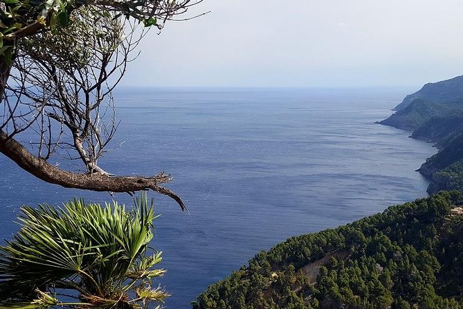 Full-Day Mallorca Caves Tour: Drach, Hams & Pearl Factory Visit - Who Should Book This Tour (And Who Should Skip It)