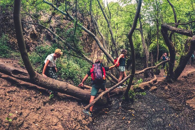 Full Day Rainforest Tour with Tasting and Swimming Time ツ - Playa El Puertillo: volcanic natural pools and the swim reality check