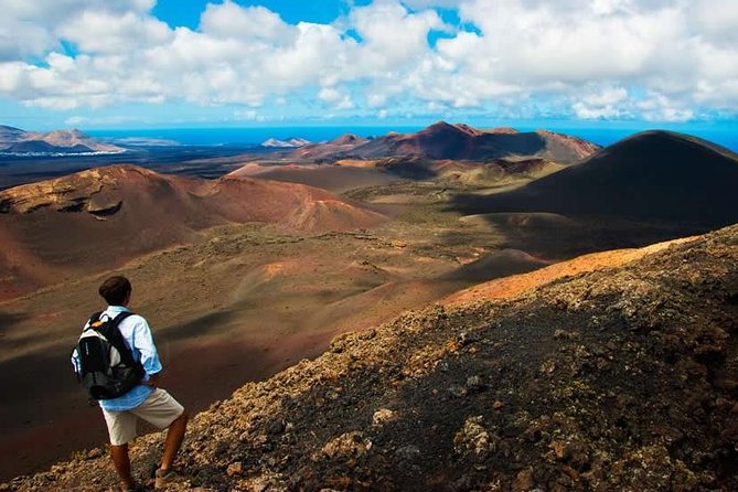 Full Day Tour to Timanfaya, Green Lagoon and La Geria - Timanfaya National Park: lava landscapes and the heat demonstrations