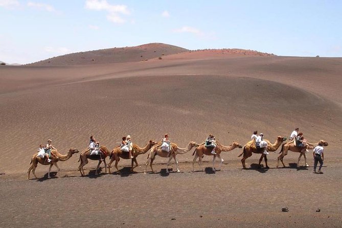 Full Day Tour to Timanfaya, Green Lagoon and La Geria - Camel ride options and when plans change