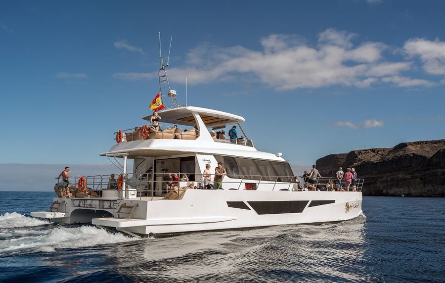 Gran Canaria: Afternoon Catamaran Cruise with Food & Drink - Deck Time, Comfort, and What to Do With It
