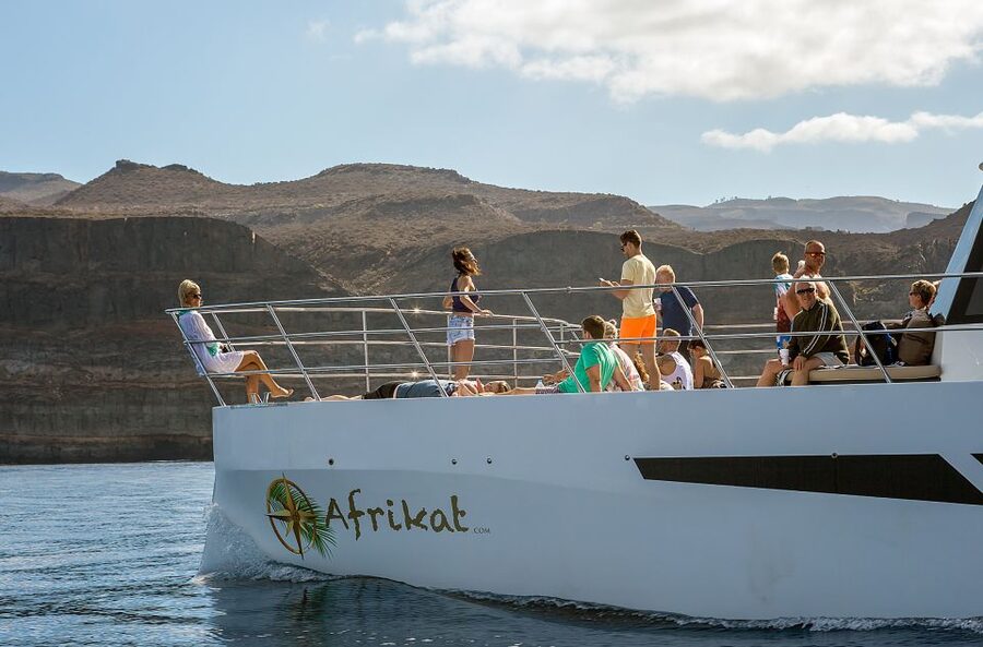 Gran Canaria: Afternoon Catamaran Cruise with Food & Drink - Pickup, Where You Start, and Harbor Check-In