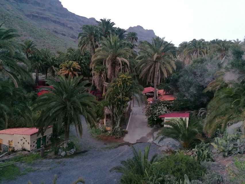 Gran Canaria: Camel Ride at Camel Safari Park - What Else You Get Inside The Park (Animals And Tropical Garden Time)