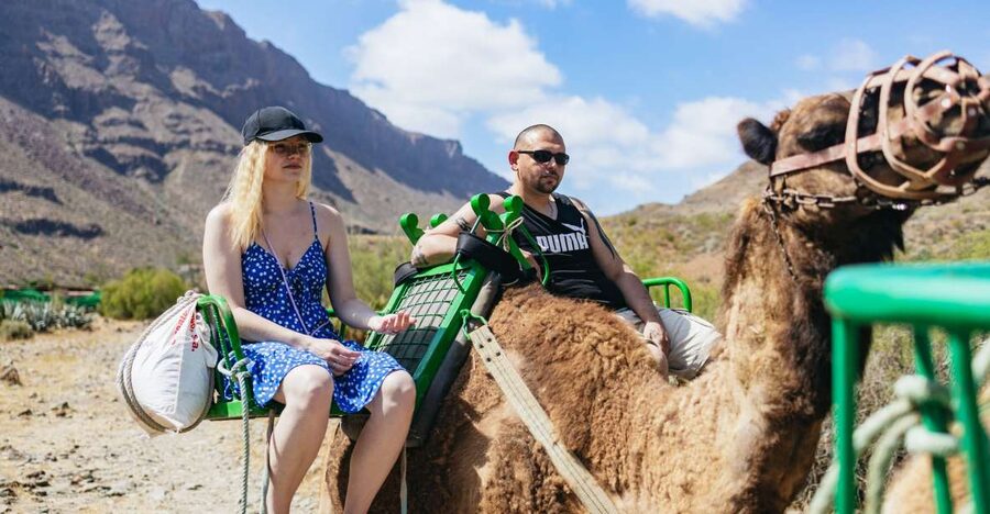 Gran Canaria: Camel Ride Safari w/ Optional Food & Transport - Key highlights at a glance