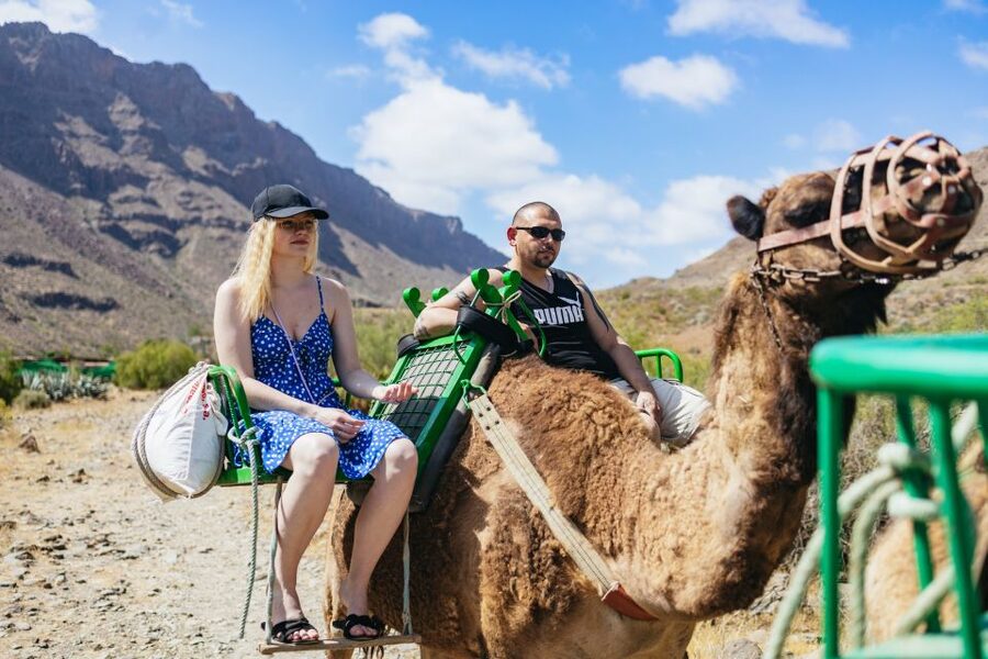 Gran Canaria: Camel Ride Safari w/ Optional Food & Transport - Your 60-minute camel ride: pace, comfort, and how to prepare