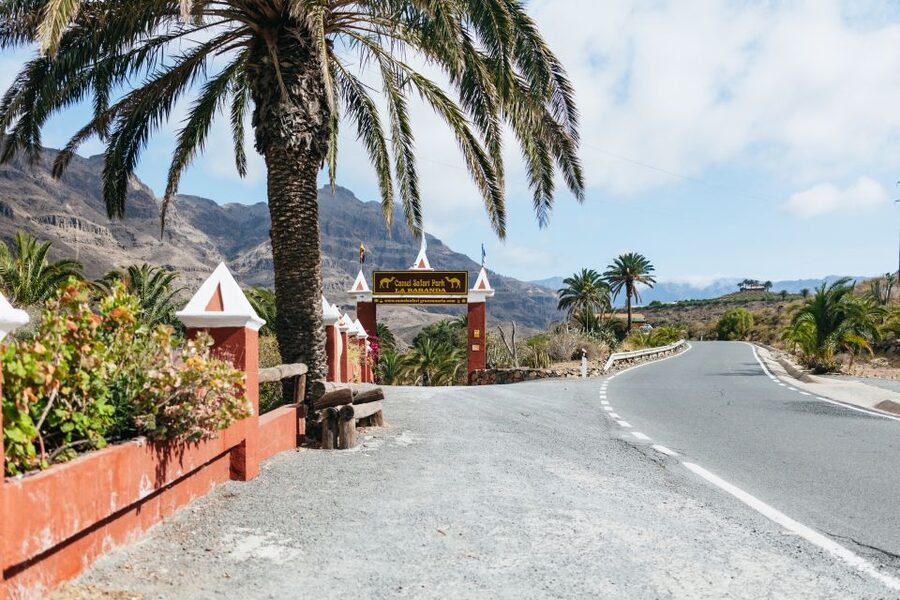 Gran Canaria: Camel Ride Safari w/ Optional Food & Transport - Who should book this camel safari (and who should skip it)