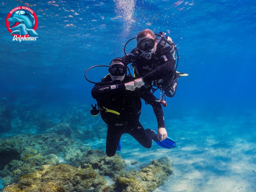 Gran Canaria: Discover Scuba Diving Beginner Program - Atlantic Marine Life: What You Can Expect, and How to Handle Murkier Water
