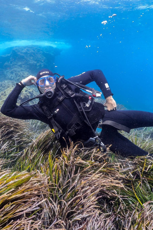 Gran Canaria: Discover Scuba Diving Beginner Program - Who This Beginner Scuba Program Is For (and Who Should Skip It)