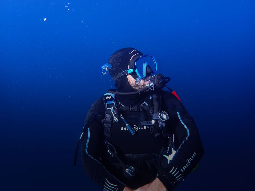 Gran Canaria: Discover Scuba Diving - Free Transfers - Key Highlights Worth Planning For