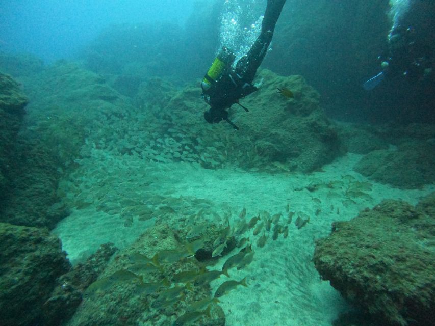 Gran Canaria: Discover Scuba Diving - Free Transfers - Free Hotel Transfers Across the South, Smooth Start to Finish