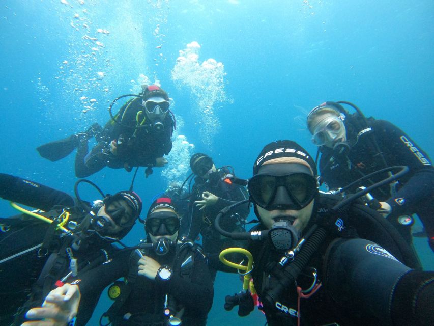 Gran Canaria: Discover Scuba Diving - Free Transfers - Marine Life You Might See, and Why It Varies