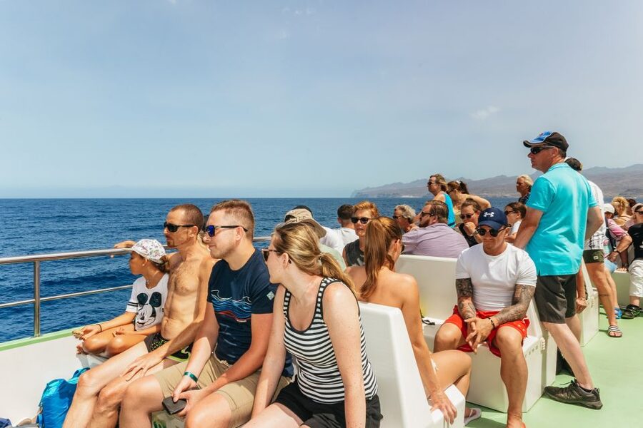 Gran Canaria: Dolphin and Whale Watching Cruise - Who This Cruise Is Best For
