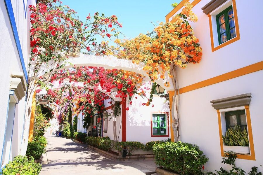 Gran Canaria: Full-Day Island Sightseeing Coach Tour - Agaete and the “Finger of God” Area: Lunch Time on the North Coast
