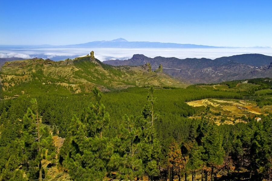 Gran Canaria: Full-Day VIP Tour by Bus - Fataga and the Valley of a Thousand Palm Trees finish