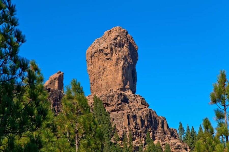 Gran Canaria: Full-Day VIP Tour by Bus - Entering Gran Canaria’s green interior, fast and focused