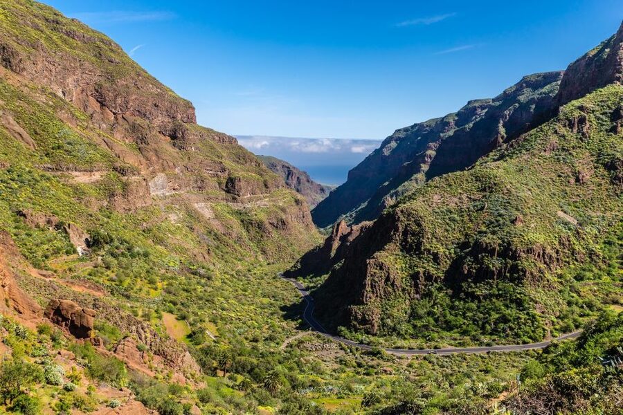 Gran Canaria: Full-Day VIP Tour by Bus - Price and what $58 really buys you