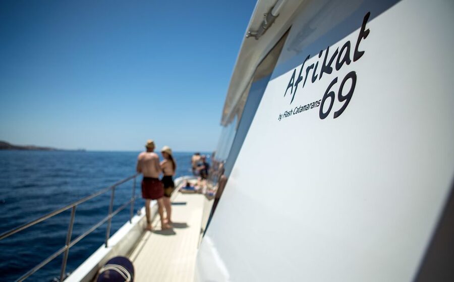 Gran Canaria: Fun Catamaran Cruise with Food and Drinks - The Mogán Water Stop: Snorkeling Time That Actually Feels Like Vacation