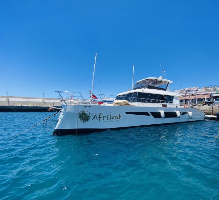 Gran Canaria: Fun Catamaran Cruise with Food and Drinks - Lunch on Board: Chicken Wraps, Pasta Salad, and Diet Requests