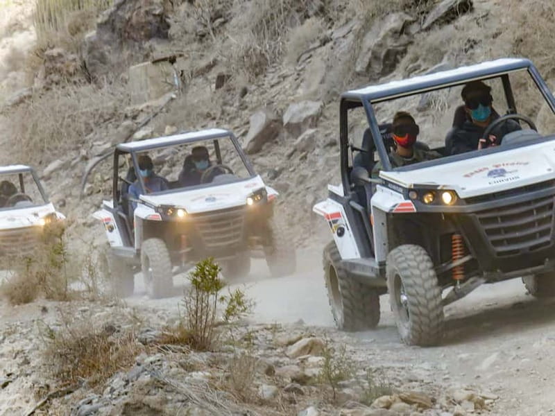 Gran Canaria Guided Buggy Tour - Key points to know before you go