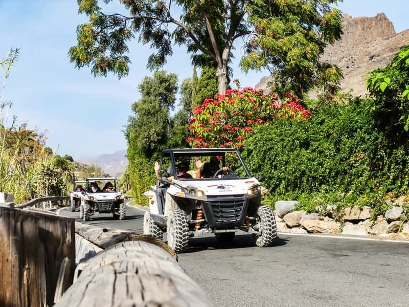 Gran Canaria Guided Buggy Tour - Fataga Country, Villages, and Canyon Roads on Unpaved Sections