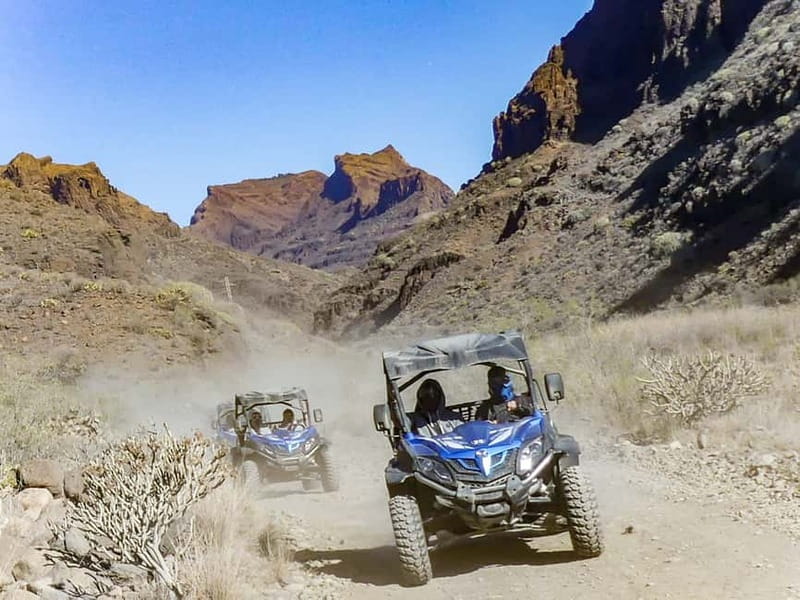 Gran Canaria Guided Buggy Tour - Timing: What the 2-Hour Buggy Period Means for Your Day