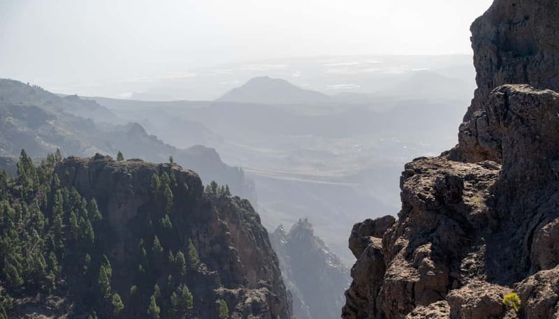 Gran Canaria: Island Highlights Tour with Optional Lunch - Why this Gran Canaria day feels different from a standard bus route