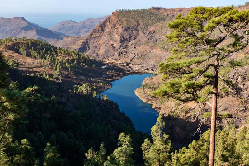 Gran Canaria: Island Highlights Tour with Optional Lunch - Aloe Vera Finca Canarias: a guided walk that works for every travel style