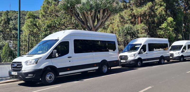 Gran Canaria: Island Highlights Tour with Optional Lunch - Cruz de San Antonio and Presa del Mulato: quick wins for photos and variety