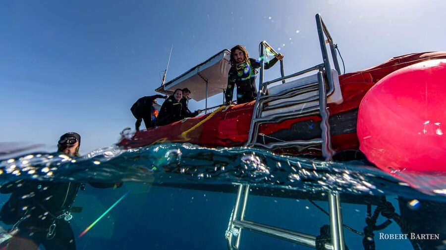 Gran Canaria:Live an Adventure and Learn to Dive with Expert - The White Sand Reset After Your Underwater Session