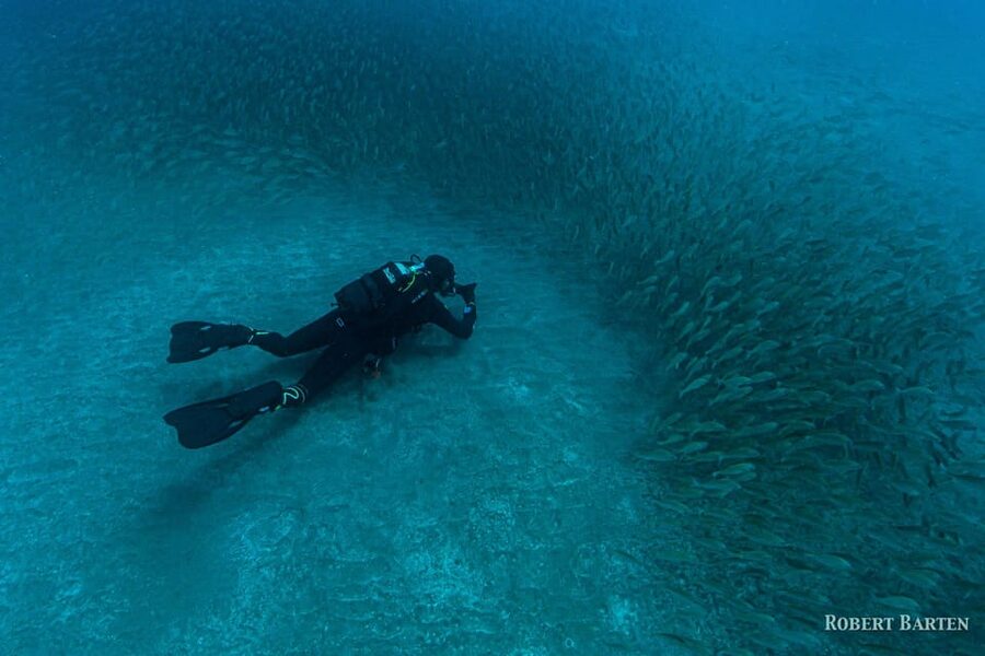 Gran Canaria:Live an Adventure and Learn to Dive with Expert - Price and Value for a 4-Hour Expert-Run Experience