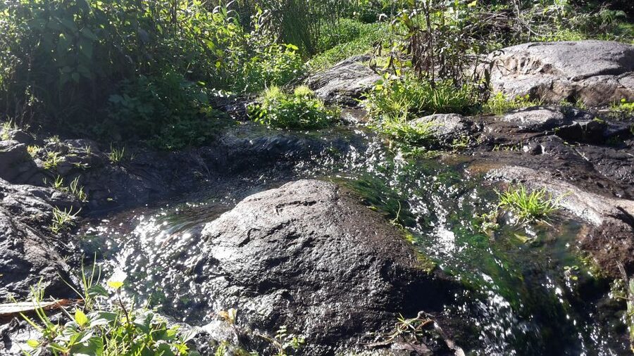 Gran Canaria: "Magic Waterfalls" Hiking Tour - Key things you will notice on this Magic Waterfalls hike