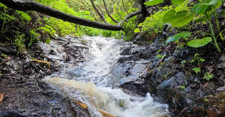 Gran Canaria: "Magic Waterfalls" Hiking Tour - The 7 km trail: elevation, technical bits, and waterfall pacing