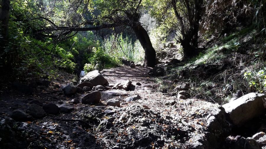 Gran Canaria: "Magic Waterfalls" Hiking Tour - Lunch and the local Canarian bar atmosphere after the hike