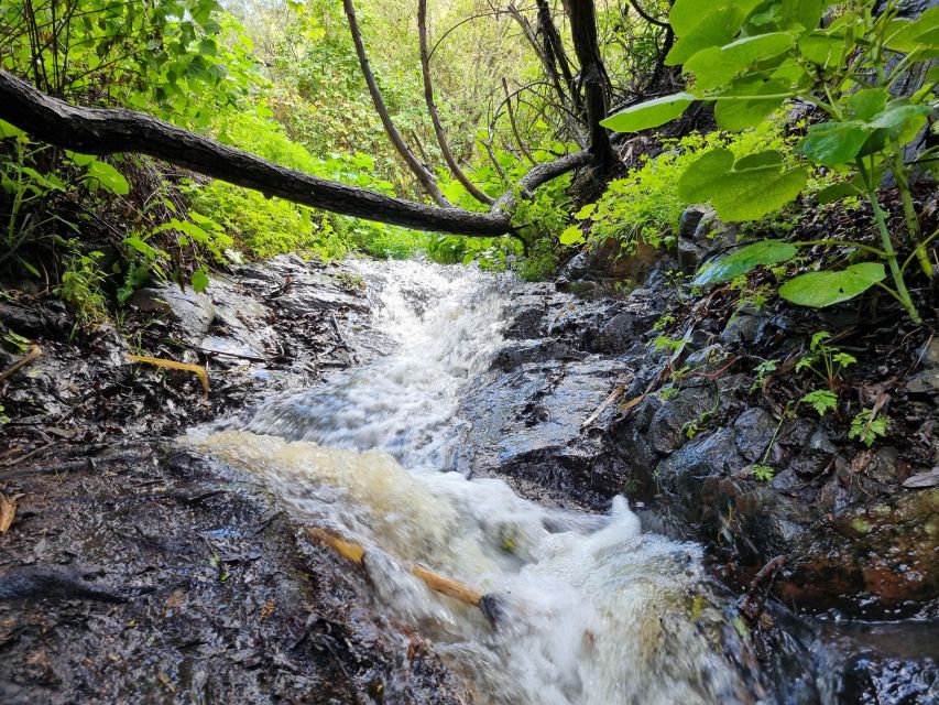 Gran Canaria: "Magic Waterfalls" Hiking Tour - Should you book the Gran Canaria Magic Waterfalls hiking tour?