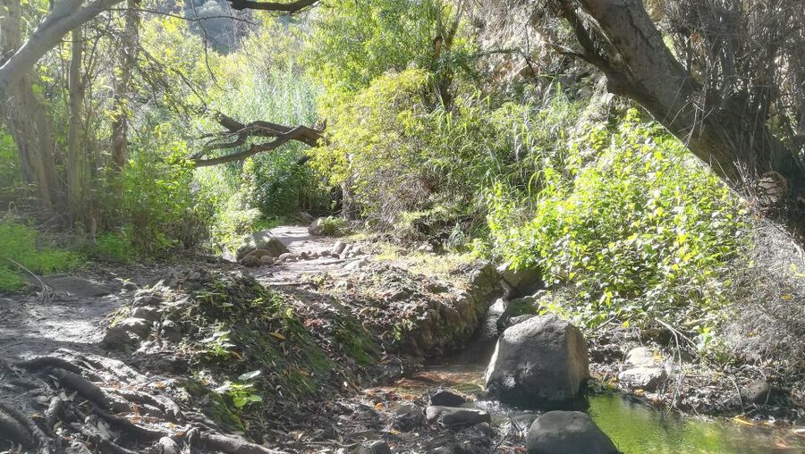 Gran Canaria: "Magic Waterfalls" Hiking Tour - Pickup from Las Palmas zones, and how the day starts smoothly