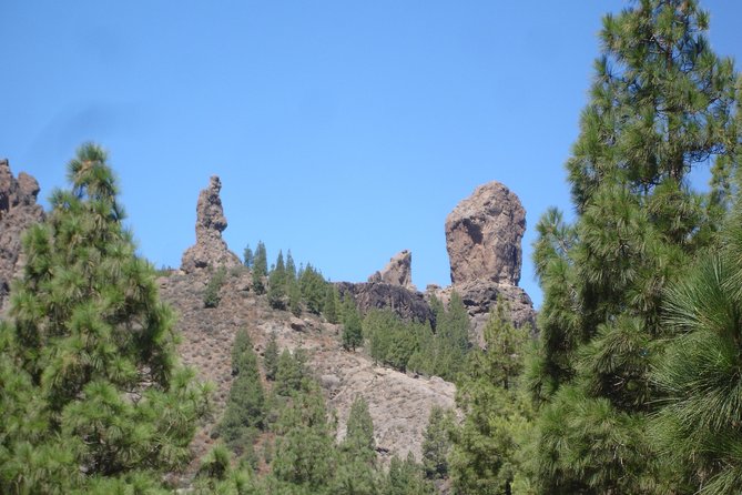 Gran Canaria Peaks Full-Day Tour from Las Palmas - Why this tour works if you want more than beaches