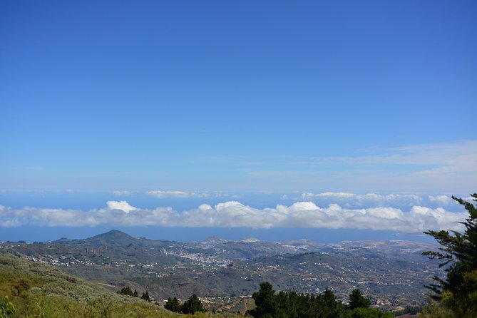 Gran Canaria Peaks Full-Day Tour from Las Palmas - Price and what $62.89 buys you in real comfort