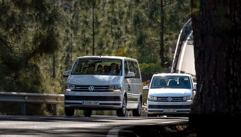 Gran Canaria: Rural Villages Guided Sightseeing Tour - Pickup in the south, then straight into the scenery
