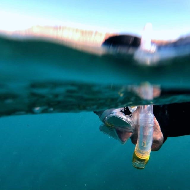 Gran Canaria: Snorkeling Trip - Puerto Rico de Gran Canaria Meeting Point and Drive to Local Beaches