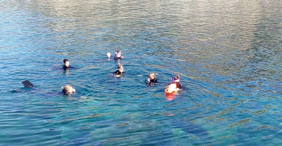 Gran Canaria: Snorkeling Trip - Paperwork, Wetsuits, and a Briefing That Gets You Snorkel-Ready
