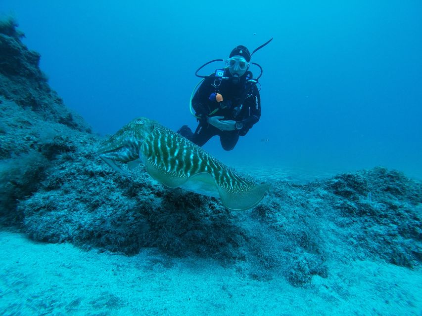 Gran Canaria: Try Scuba Diving for Beginners - Transfer Time, Comfort, and Group Size