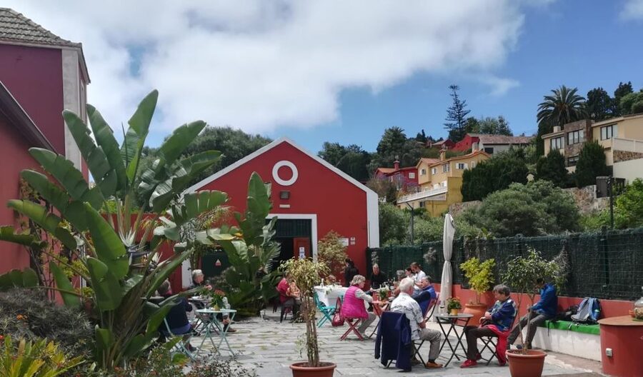 Gran Canaria: Winery Tour, Wine Museum, and Tasting - Price and Value: Is $34 Worth 1.5 Hours?